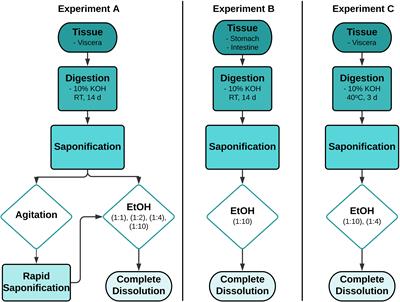 Solving a Sticky Situation: Microplastic Analysis of Lipid-Rich Tissue